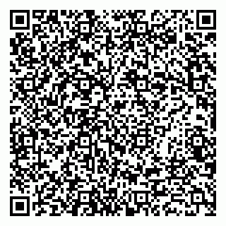 vCard 79018880271