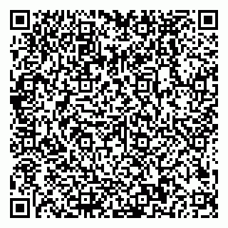 vCard 79018880306