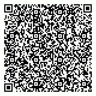 vCard 79018880311