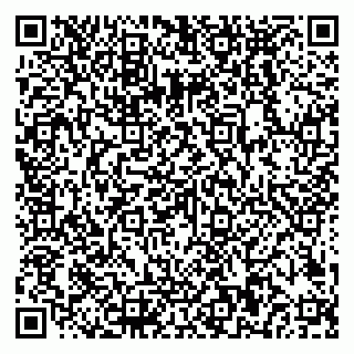 vCard 79018880312