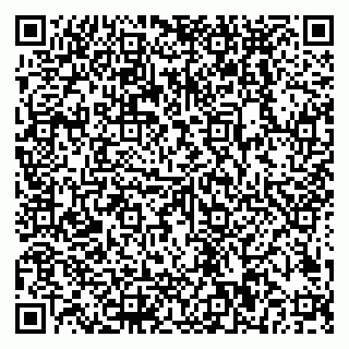 vCard 79018880313