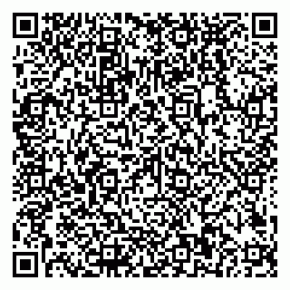vCard 79018880314