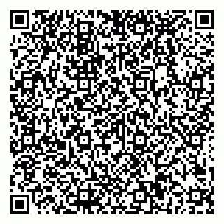 vCard 79018880317