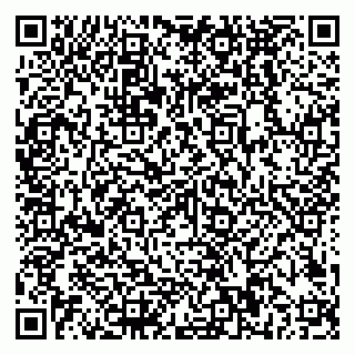 vCard 79018880327