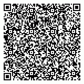 vCard 79018880331