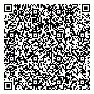 vCard 79018880332
