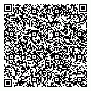 vCard 79018880333