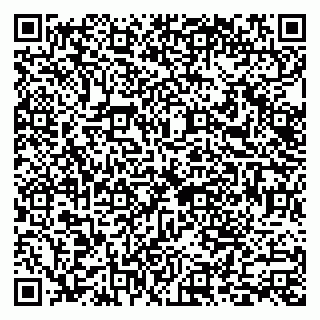 vCard 79018880334