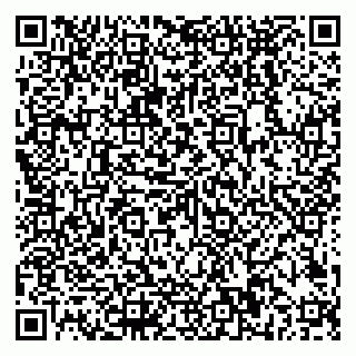 vCard 79018880337