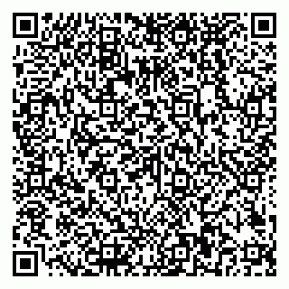 vCard 79018880351