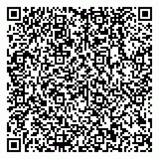 vCard 79018880374