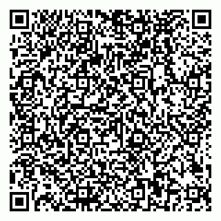 vCard 79018880379
