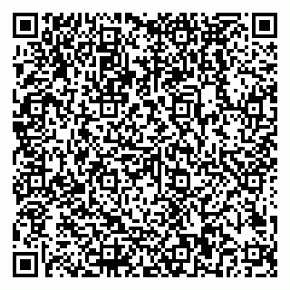 vCard 79018880381