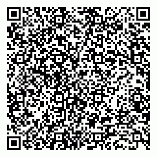 vCard 79018880387