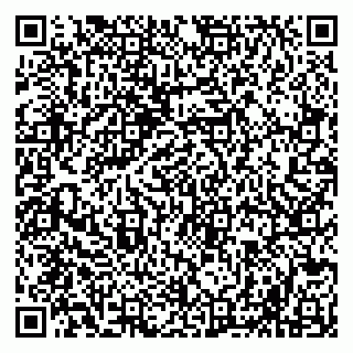 vCard 79019100062