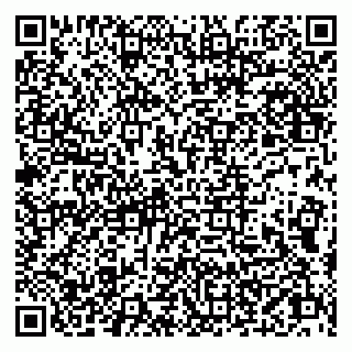 vCard 79019100132