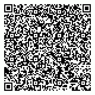 vCard 79019100287