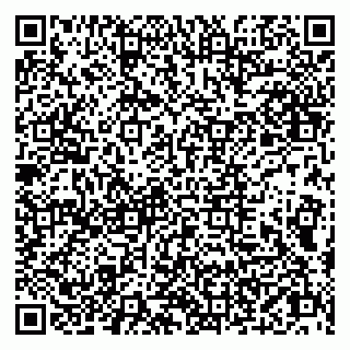 vCard 79019100393