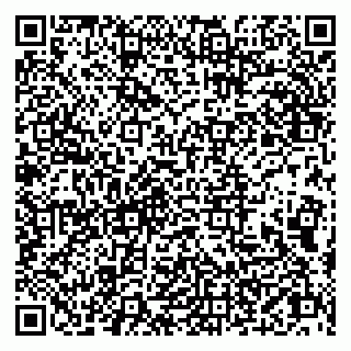 vCard 79019100529
