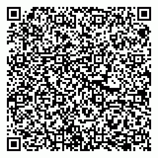 vCard 79019340033