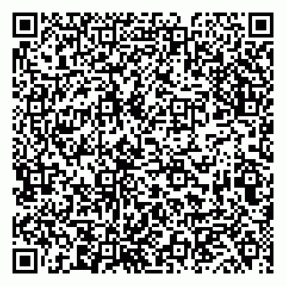 vCard 79019340035
