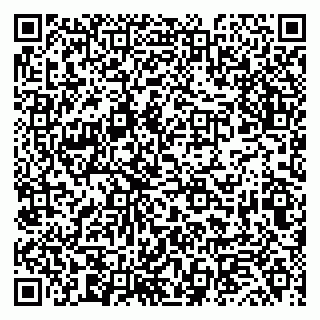 vCard 79019340313