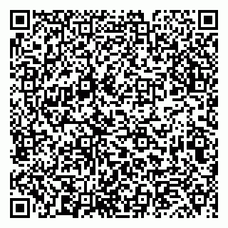vCard 79019340381