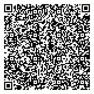 vCard 79019560413
