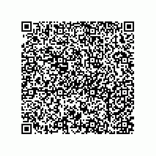 vCard 79019630032