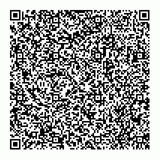vCard 79019923333