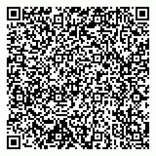 vCard 79019930133