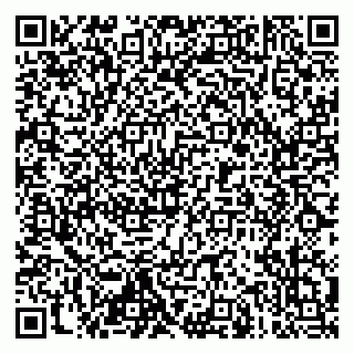 vCard 79019931393