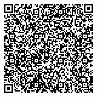 vCard 79019933008