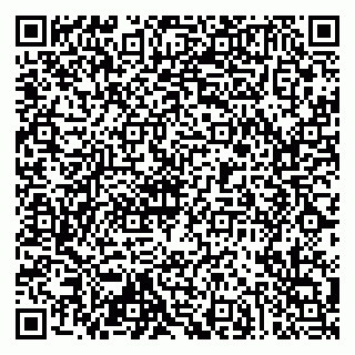 vCard 79019933010