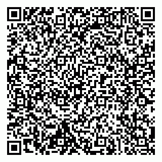 vCard 79019933100