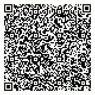 vCard 79019933110