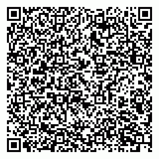 vCard 79019933181