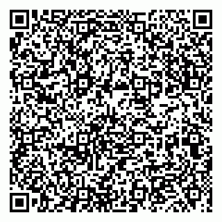 vCard 79019960132