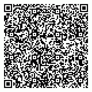 vCard 79019960381