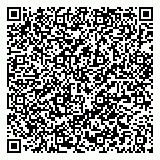 vCard 79020150011