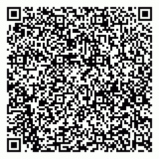 vCard 79020200031