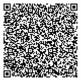 vCard 79020200380