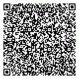 vCard 79020216639