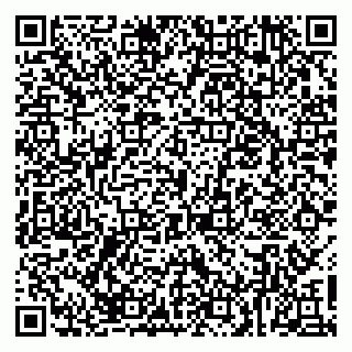 vCard 79020800131