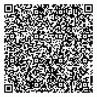 vCard 79020800331