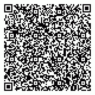 vCard 79021000031
