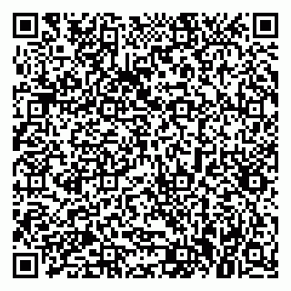 vCard 79021000131