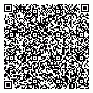 vCard 79021005531
