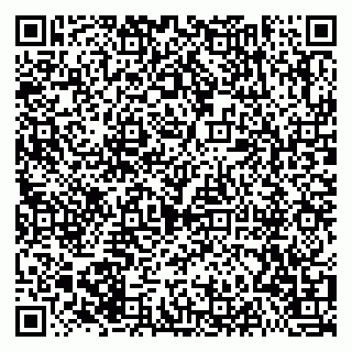 vCard 79021006532