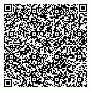 vCard 79021007413